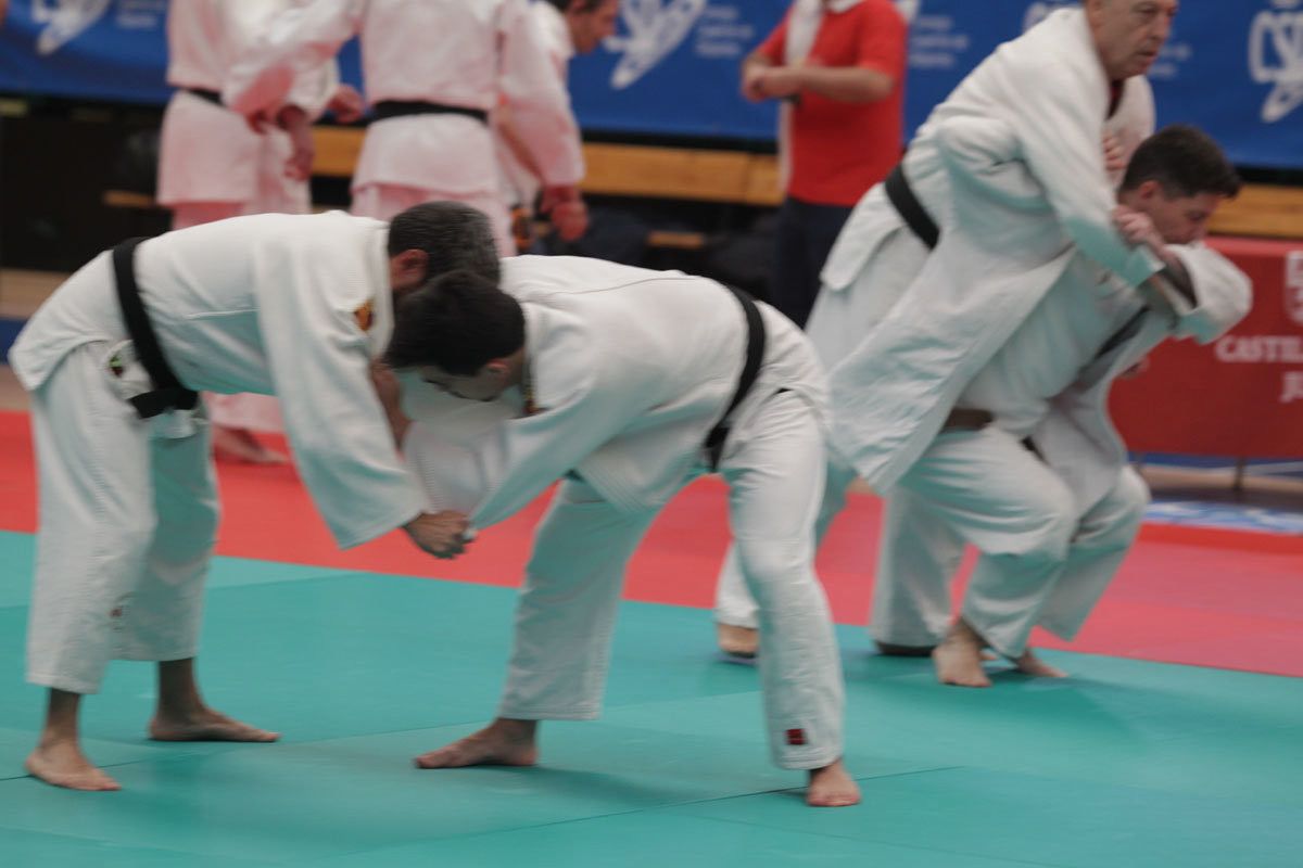  Campeonato de España de veteranos de judo. 