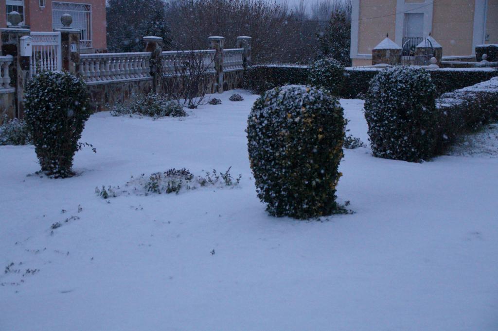 Nieve en Alba de Tormes (13)