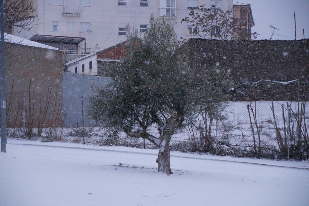 Nieve en Alba de Tormes (17)