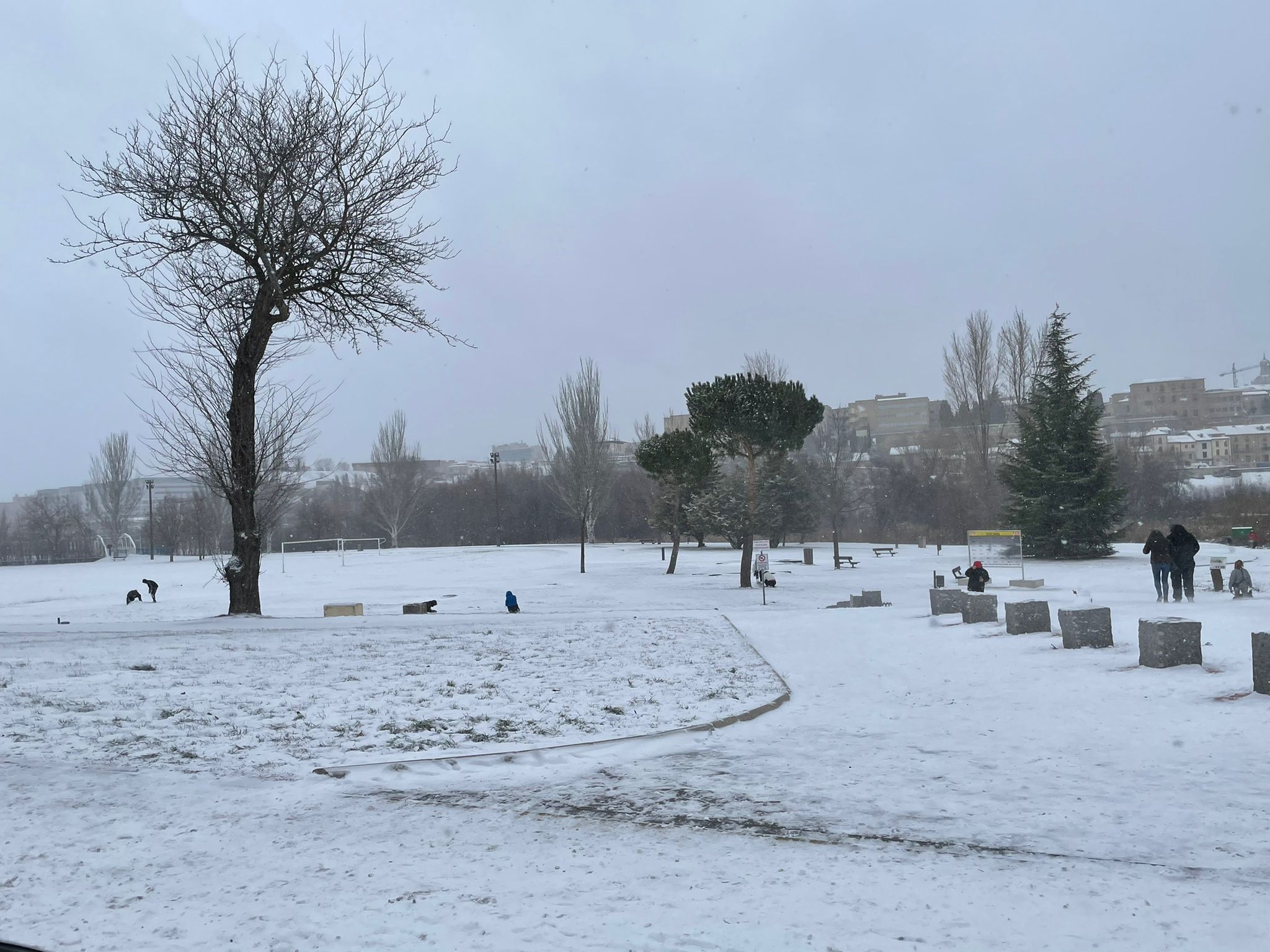 Nieve y quitanieves en Salamanca y Santa Marta (25)