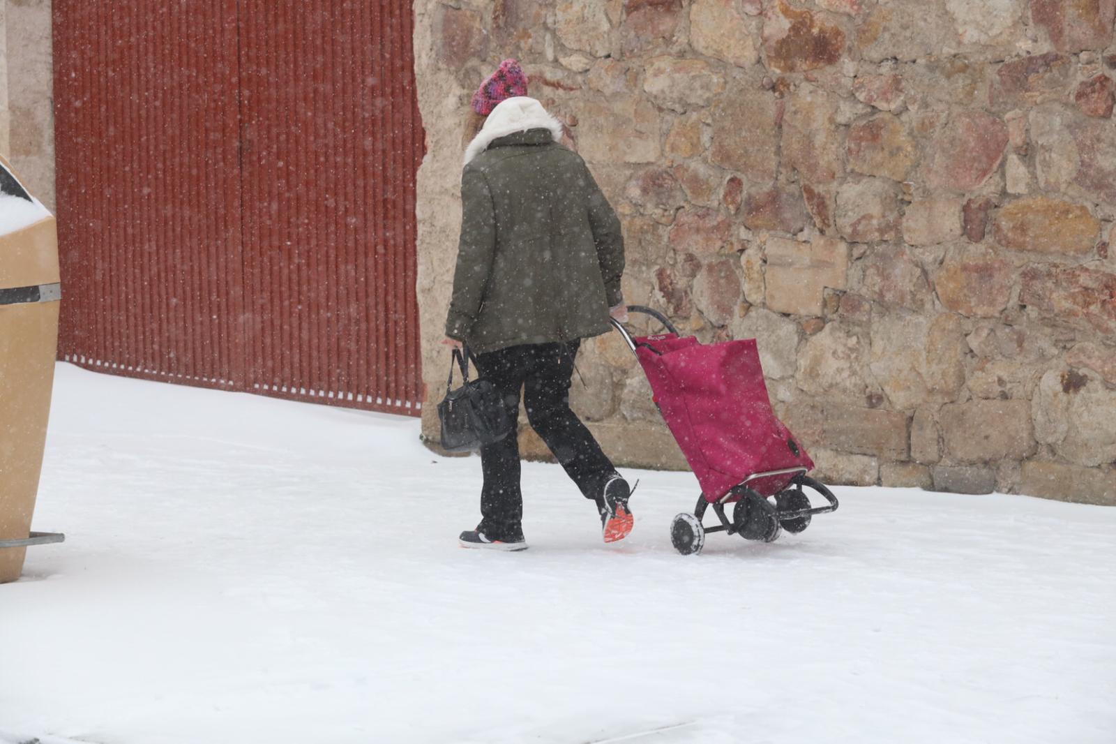 Nieve en Salamanca, 9 de enero (21)