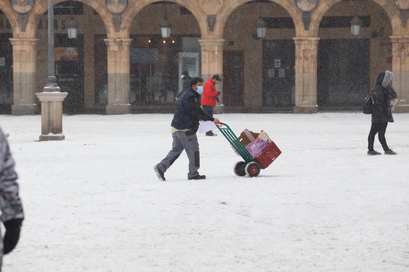 Nieve en Salamanca, 9 de enero (15)