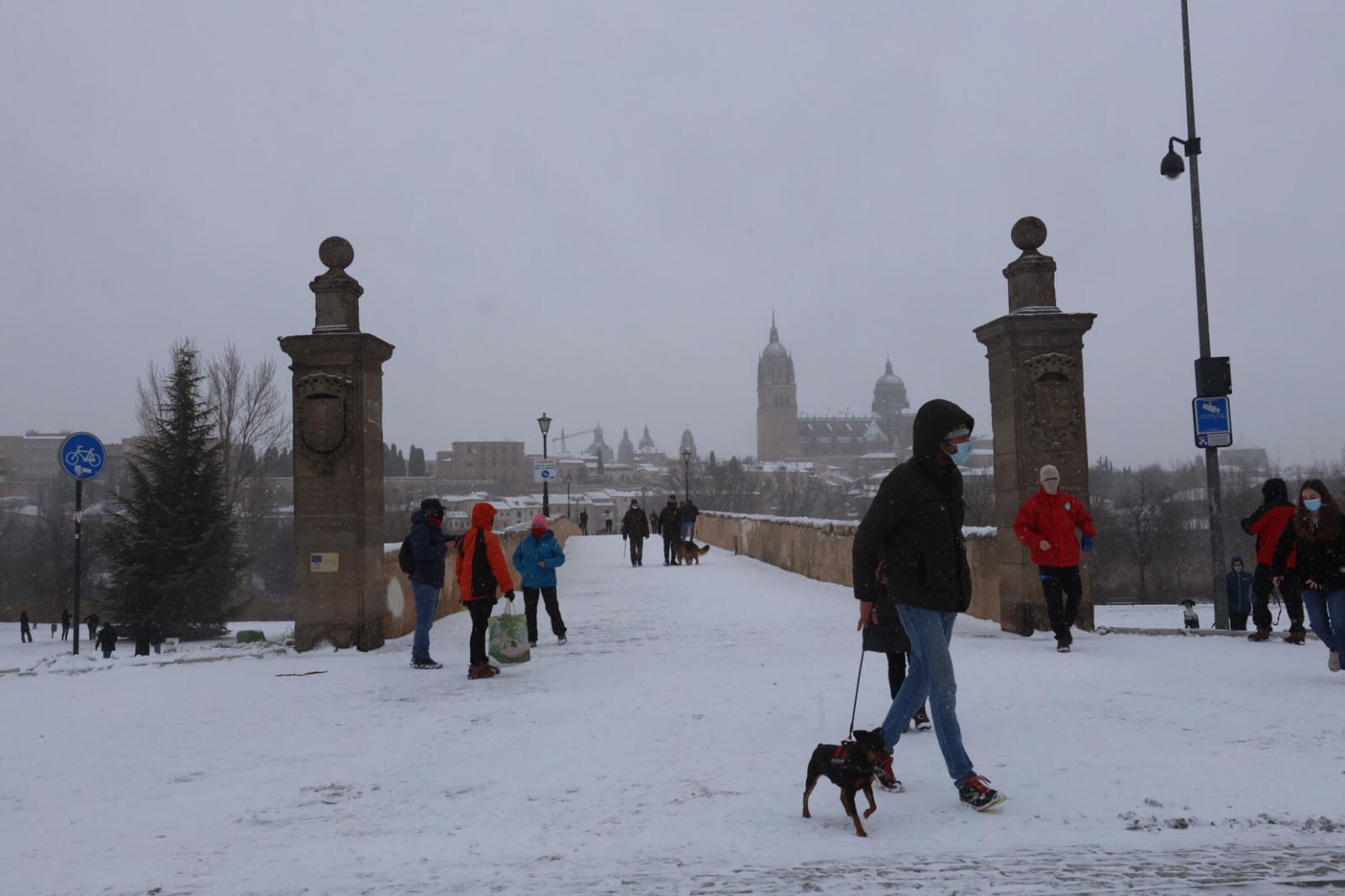 Nieve en Salamanca, 9 de enero (3)