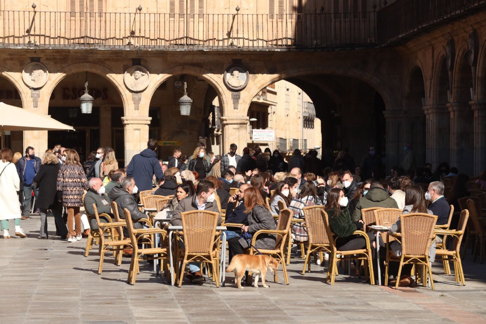 Terrazas en Salamanca el 13 de febrero (11)